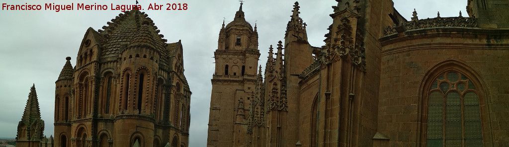 Catedral Vieja. Pasarela hacia la Torre del Gallo - Catedral Vieja. Pasarela hacia la Torre del Gallo. Vistas