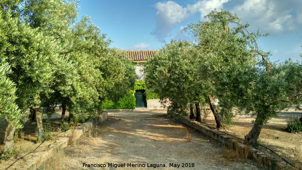 Caser�a El Majuelo - Caser�a El Majuelo. 