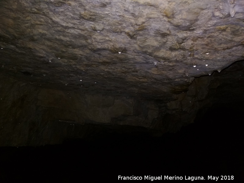 Cueva de El Mansegoso - Cueva de El Mansegoso. 