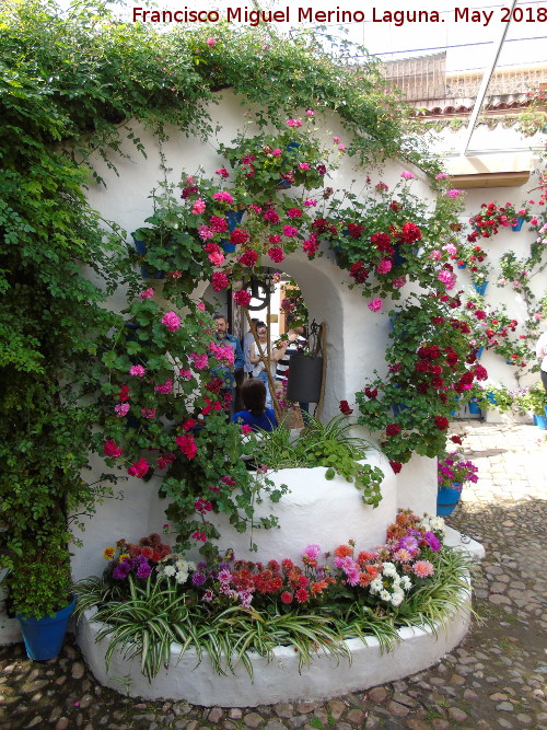 Casa de la Calle Trueque n� 4 - Casa de la Calle Trueque n� 4. Pozo