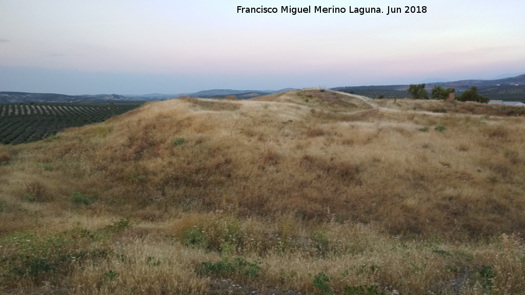 Yacimiento romano de Torrealc�zar - Yacimiento romano de Torrealc�zar. 