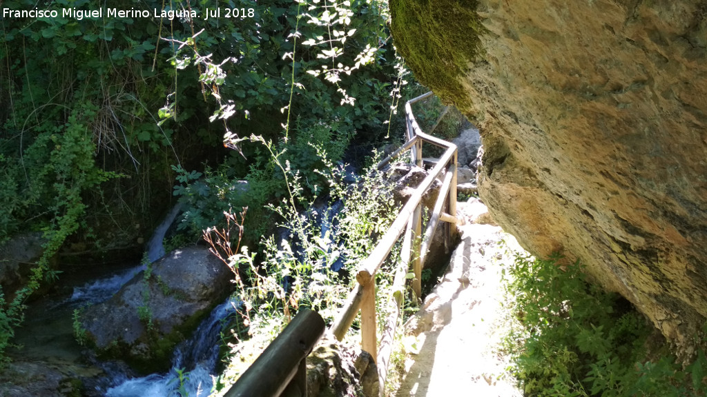 Sendero Cazorla - Refugio C.F. Sacejo - Sendero Cazorla - Refugio C.F. Sacejo. R�o Cerezuelo