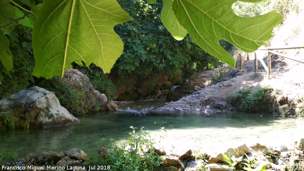 Sendero Cazorla - Refugio C.F. Sacejo - Sendero Cazorla - Refugio C.F. Sacejo. R�o Cerezuelo