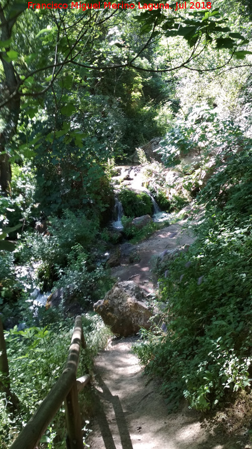 Sendero Cazorla - Refugio C.F. Sacejo - Sendero Cazorla - Refugio C.F. Sacejo. R�o Cerezuelo