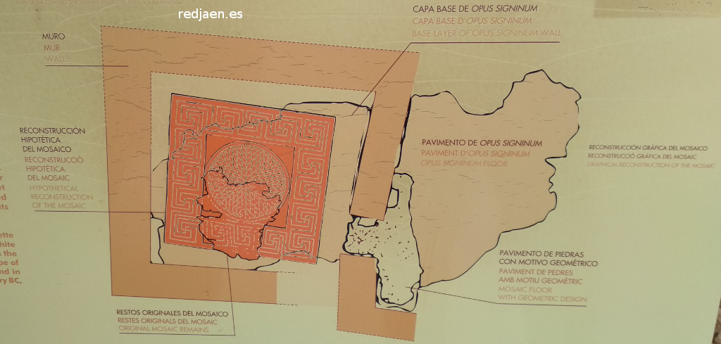 Lucentum. Mosaico de Opus Signinum - Lucentum. Mosaico de Opus Signinum. Plano