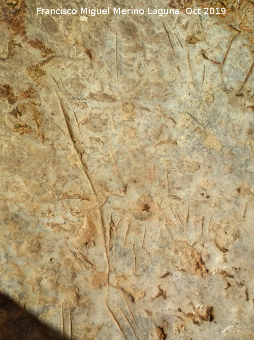 Pinturas y petroglifos rupestres del Abrigo de los cortados del Canjorro - Pinturas y petroglifos rupestres del Abrigo de los cortados del Canjorro. 