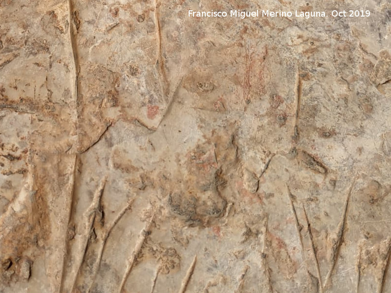 Pinturas y petroglifos rupestres del Abrigo de los cortados del Canjorro - Pinturas y petroglifos rupestres del Abrigo de los cortados del Canjorro. Restos de pinturas entre los grabados