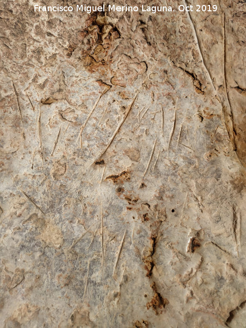Pinturas y petroglifos rupestres del Abrigo de los cortados del Canjorro - Pinturas y petroglifos rupestres del Abrigo de los cortados del Canjorro. 