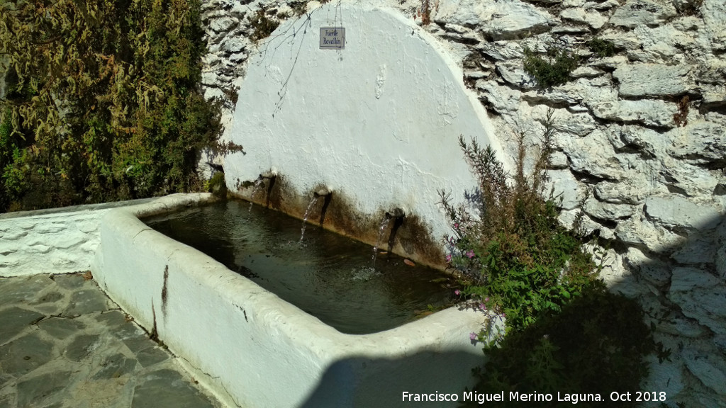 Fuente Revell�n - Fuente Revell�n. 