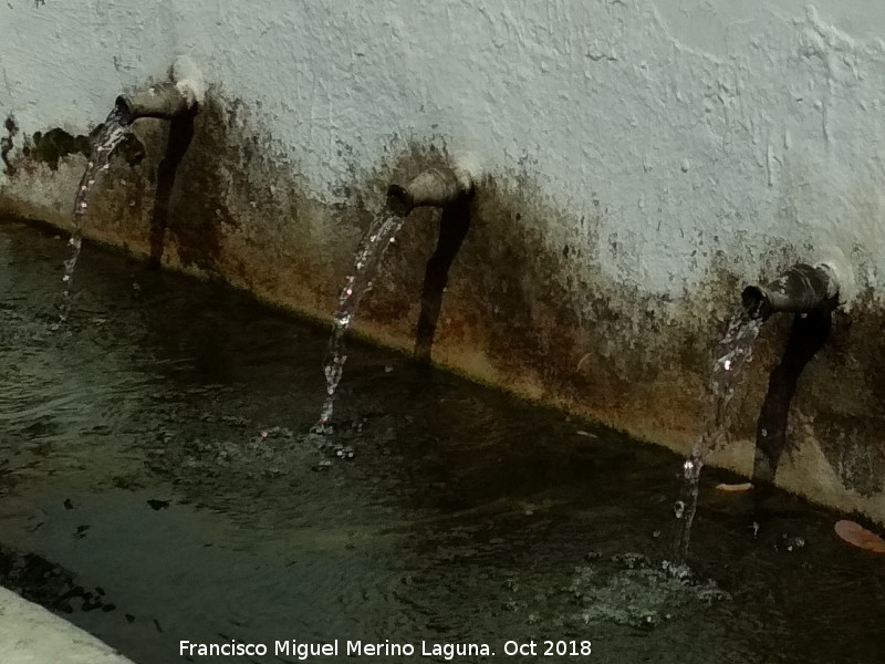 Fuente Revell�n - Fuente Revell�n. Ca�os