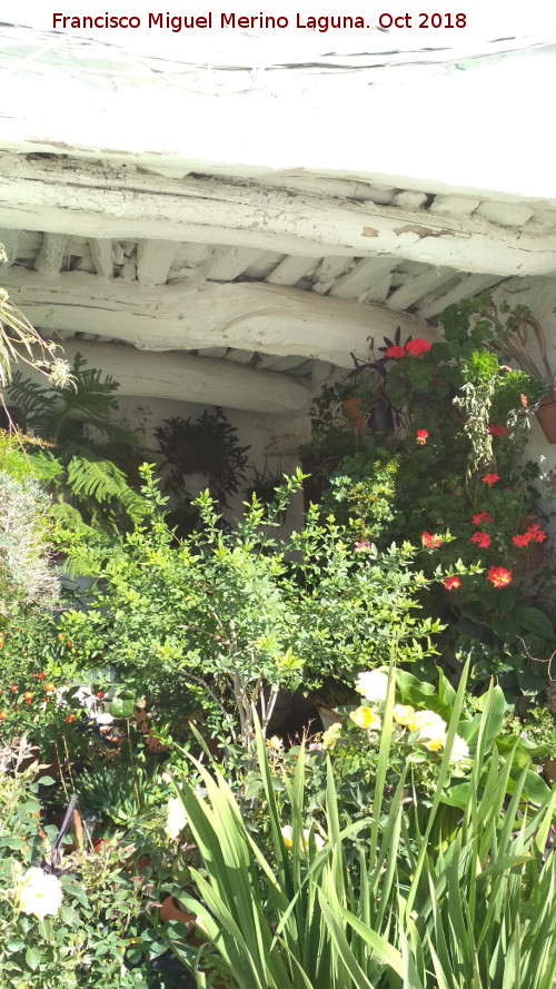 Casa de la Calle Horno n� 7 - Casa de la Calle Horno n� 7. Jard�n