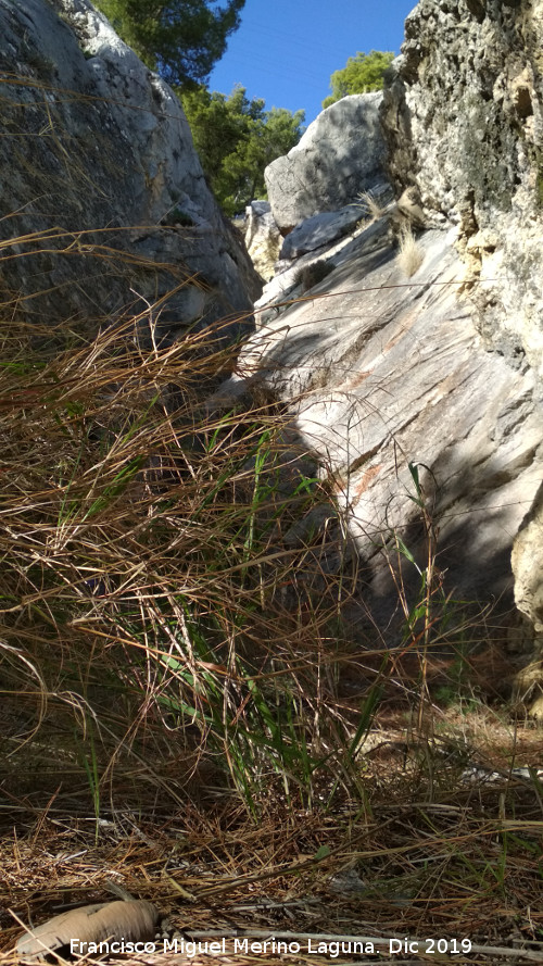 Callejn del Cerro de Santa Catalina - Callejn del Cerro de Santa Catalina. 