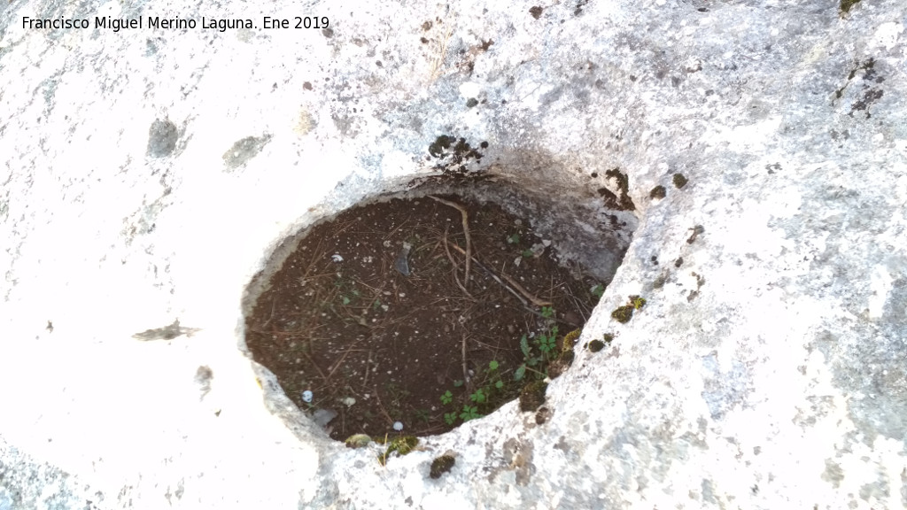 Losa de los F�siles de la Merced - Losa de los F�siles de la Merced. Cercano