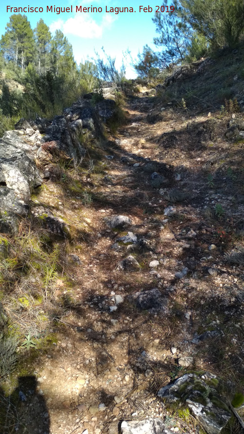 Camino del Chorre�n - Camino del Chorre�n. 