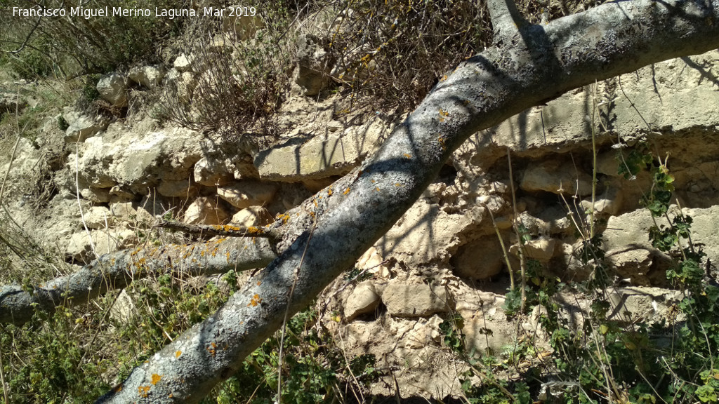 Muralla de T�scar - Muralla de T�scar. Detalle