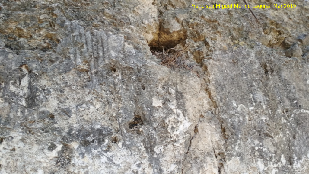 Muralla de T�scar - Muralla de T�scar. Grabados del cuarto anillo