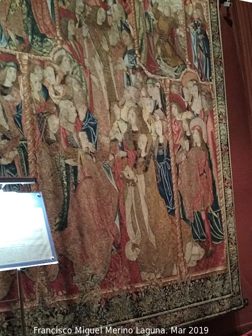 Catedral del Salvador. Museo de Tapices - Catedral del Salvador. Museo de Tapices. 