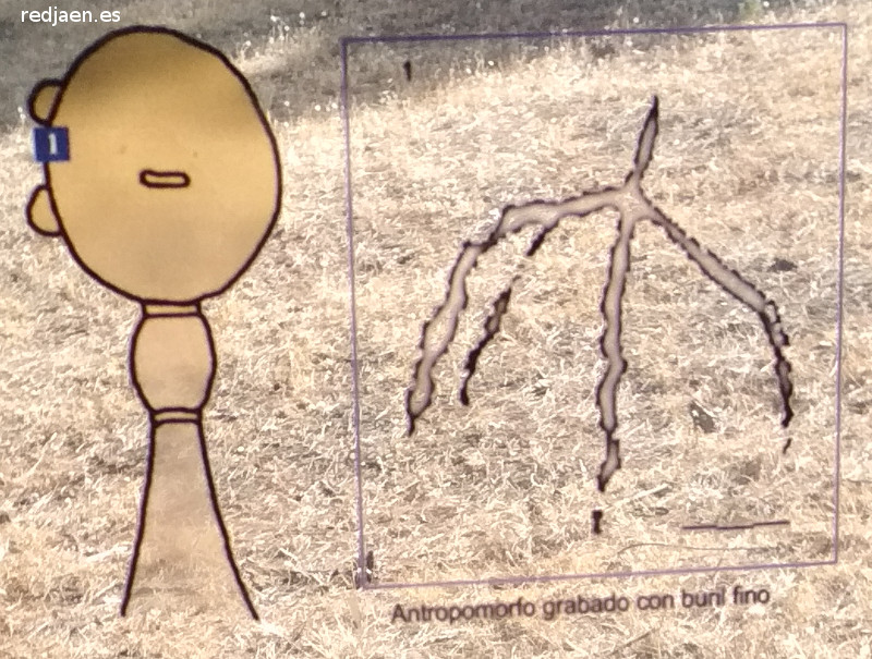 Necr�polis de las Aguilillas. Tumba 3 - Necr�polis de las Aguilillas. Tumba 3. Situaci�n y calco del petroglifo
