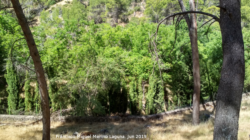Antiguo Vivero de la Ca�ada de las Hazadillas - Antiguo Vivero de la Ca�ada de las Hazadillas. 