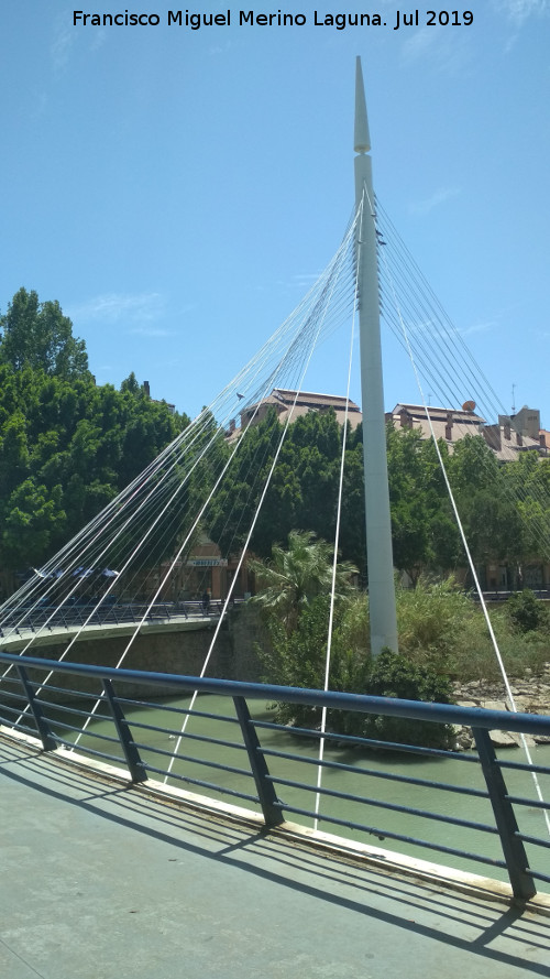 Pasarela del Malec�n - Pasarela del Malec�n. 