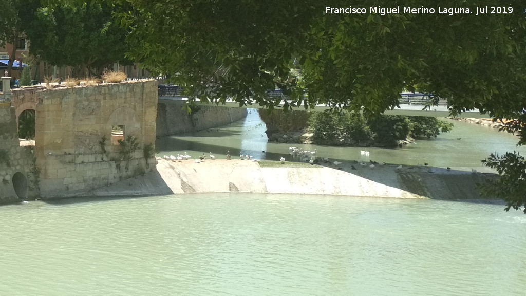 Molino de los �lamos - Molino de los �lamos. Molino y azud