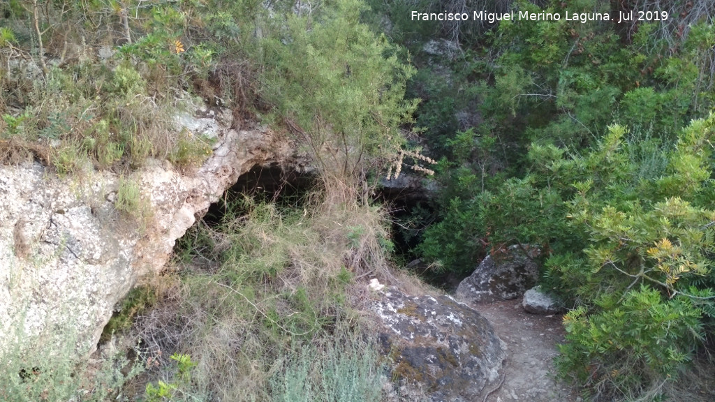 Cueva de la Gota - Cueva de la Gota. 