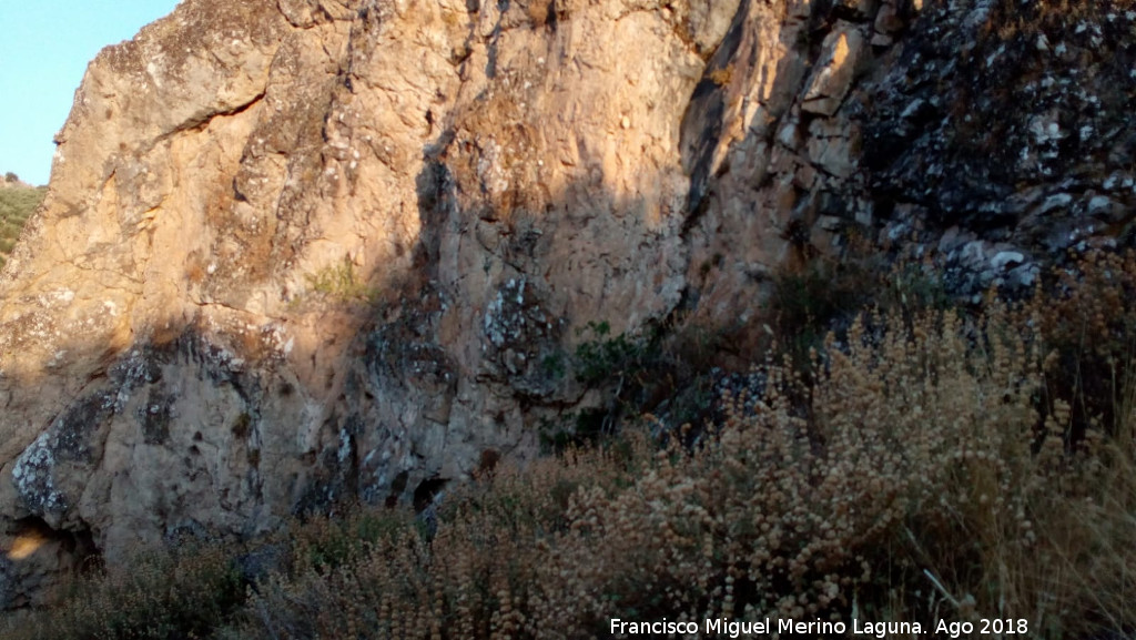 Pinturas rupestres del Abrigo de Mingo L�pez I - Pinturas rupestres del Abrigo de Mingo L�pez I. Abrigos