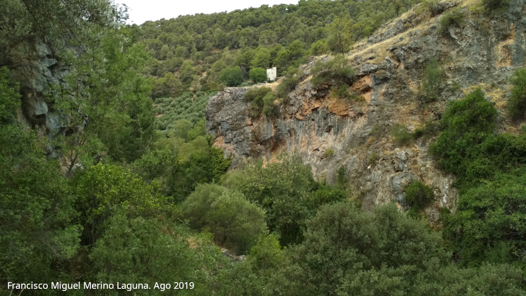 Cortijo Torre Ca�amares - Cortijo Torre Ca�amares. Sobre el ca��n