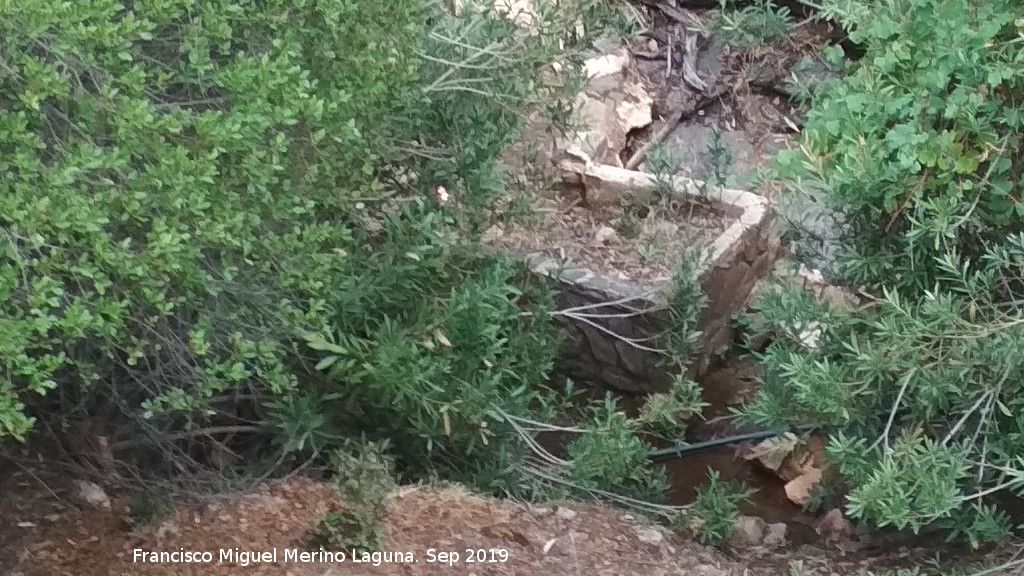 Fuente del Molino del Bat�n - Fuente del Molino del Bat�n. 