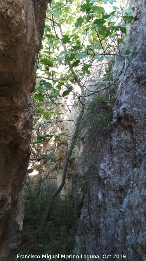 Aprisco de la Ladera de la Veleta - Aprisco de la Ladera de la Veleta. 