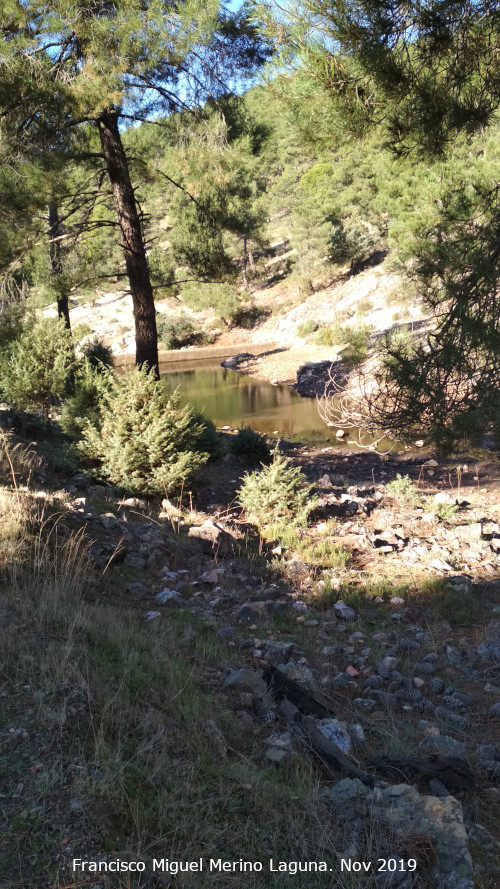 Pantaneta del Chortal - Pantaneta del Chortal. 