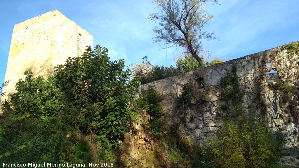 Torre�n de Triana - Torre�n de Triana. Torre�n y molino