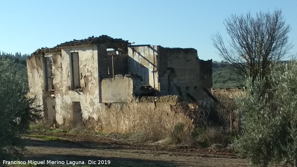 Cortijo de la Salina - Cortijo de la Salina. 