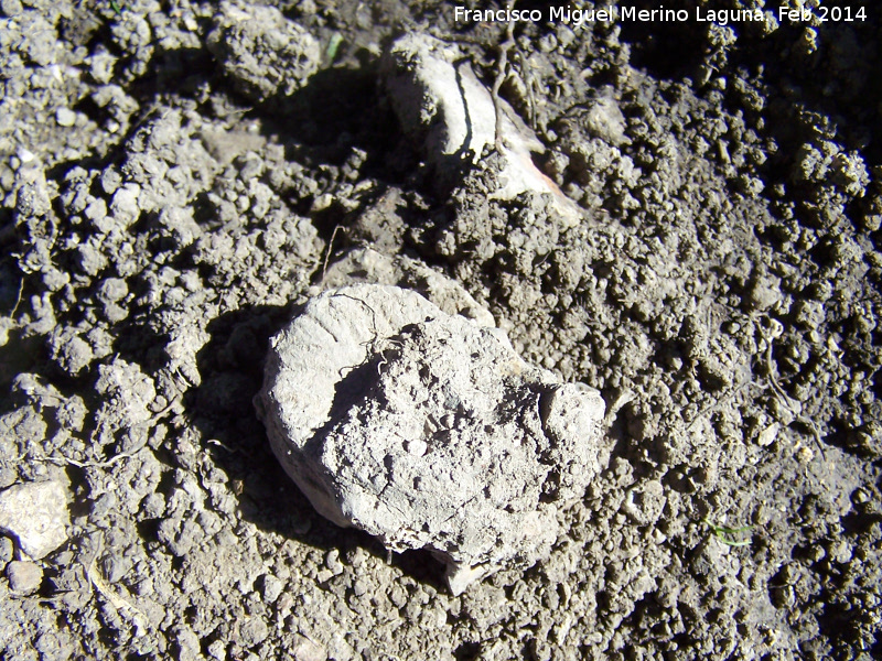 Castillo de Susana - Castillo de Susana. Necr�polis v�rtebra