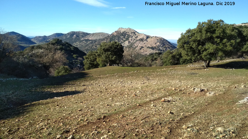 Bancales de los Habares - Bancales de los Habares. 