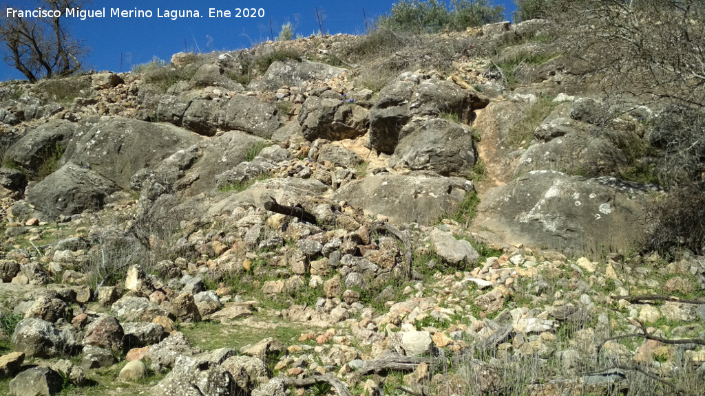 Oppidum de la Gineta - Oppidum de la Gineta. Derrumbe de muro