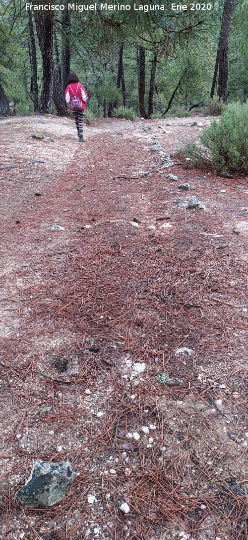 Sendero Fuente del Oso - Puente de las Herrer�as - Sendero Fuente del Oso - Puente de las Herrer�as. Restos del antiguo camino