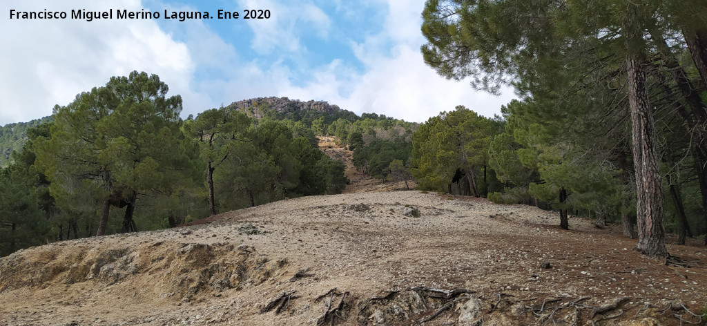 Cerro de la Torquilla - Cerro de la Torquilla. Ladera este