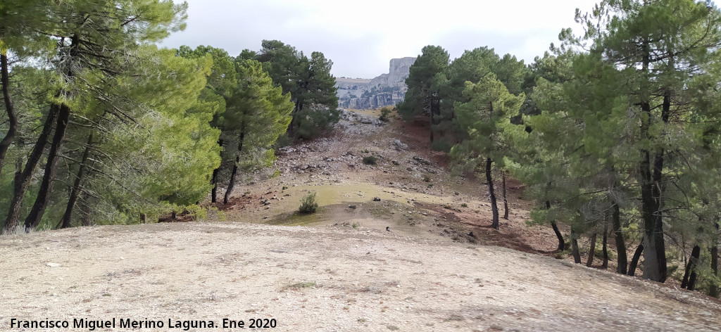 Cerro de la Torquilla - Cerro de la Torquilla. Cortafuegos de la ladera este