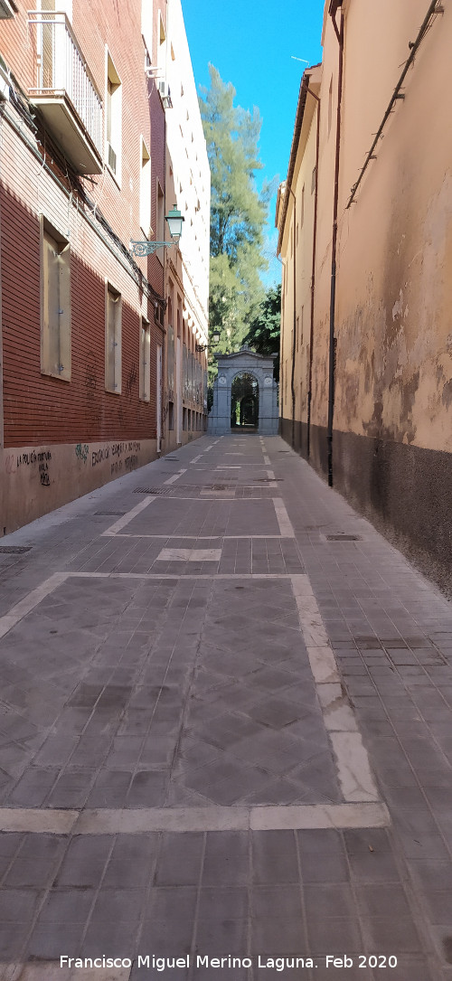 Calle Jard�n Bot�nico - Calle Jard�n Bot�nico. 