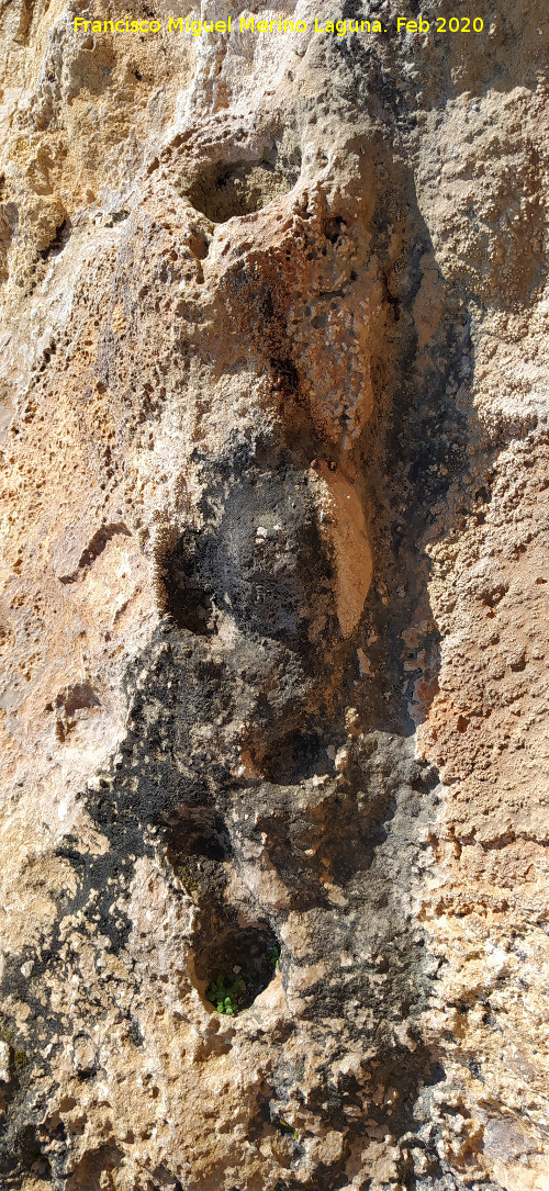 Abrigo de las Cazoletas de las Pe�as de Castro - Abrigo de las Cazoletas de las Pe�as de Castro. Cazoletas