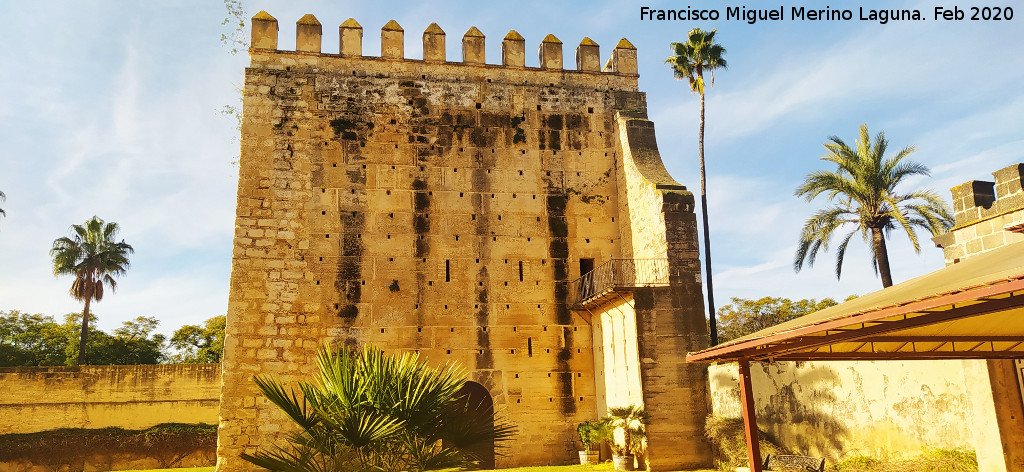 Alc�zar de Jerez. Torre del Homenaje - Alc�zar de Jerez. Torre del Homenaje. Intramuros