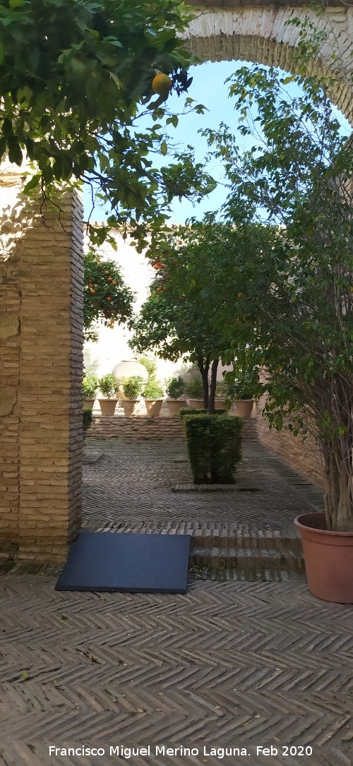 Alc�zar de Jerez. Mezquita - Alc�zar de Jerez. Mezquita. Acceso al molino desde el Patio de los Naranjos