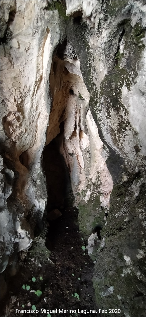 Cueva de la Cara - Cueva de la Cara. Interior