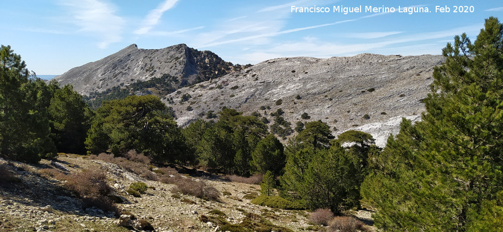 Loma de Cagasebo - Loma de Cagasebo. Al fondo la Cuerda de los Agrios