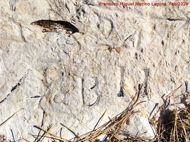 Grabado forestal de la Loma de Cagasebo - Grabado forestal de la Loma de Cagasebo. 