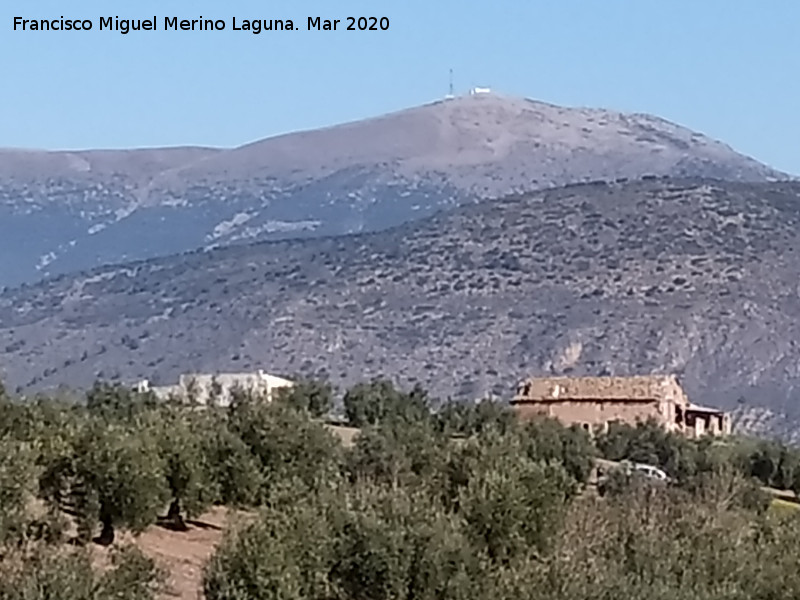 Cortijo Jaralejo - Cortijo Jaralejo. Al fondo el Almad�n