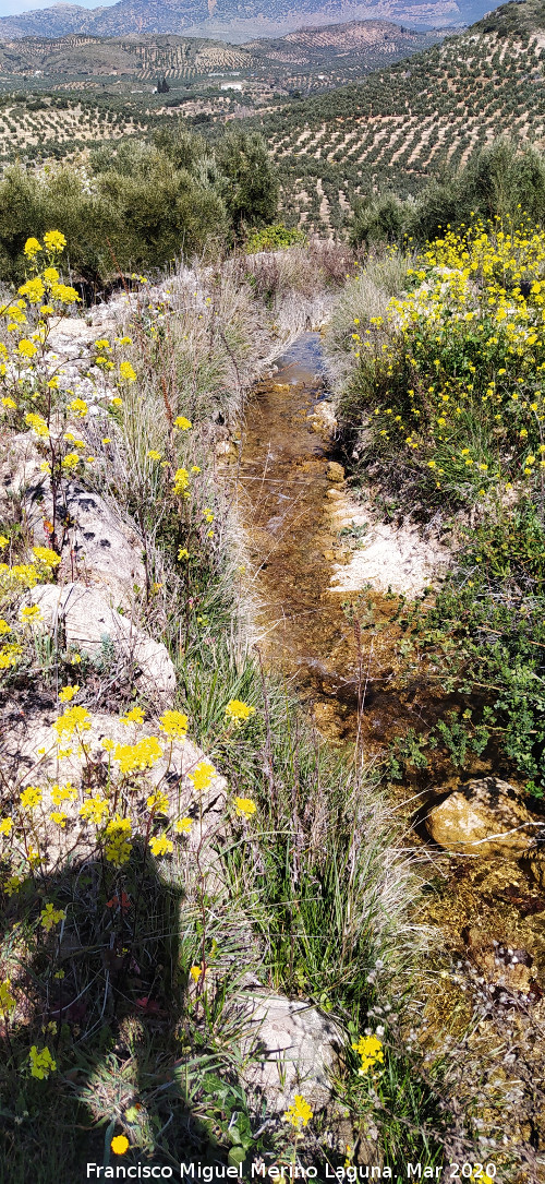 Acequia de la Albardilla - Acequia de la Albardilla. 