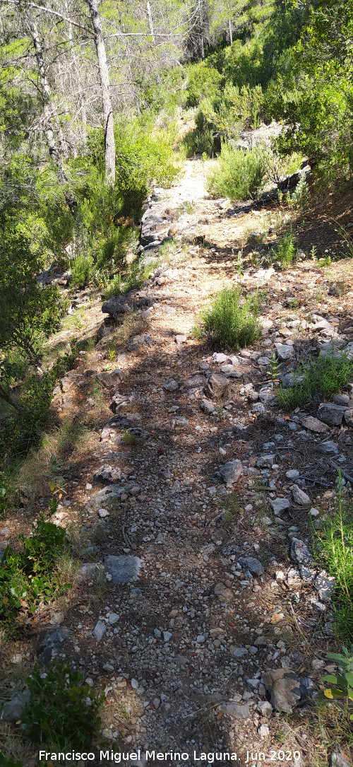 Camino de las Grajas - Camino de las Grajas. 