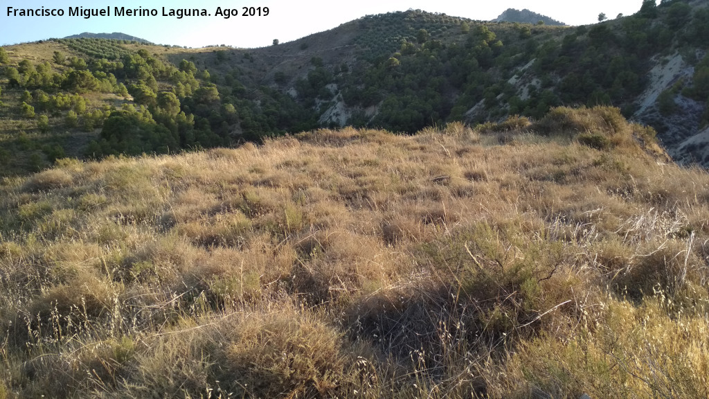 Castillo de Nebl�n - Castillo de Nebl�n. Plaza de armas